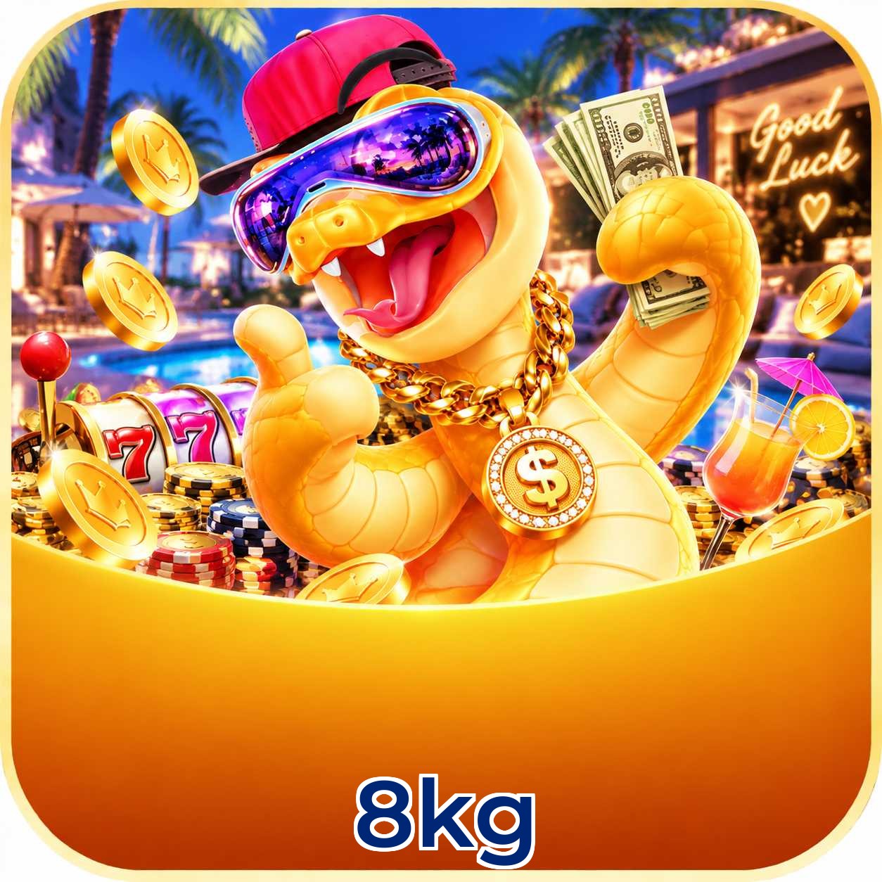 8kg FAQ instalar app